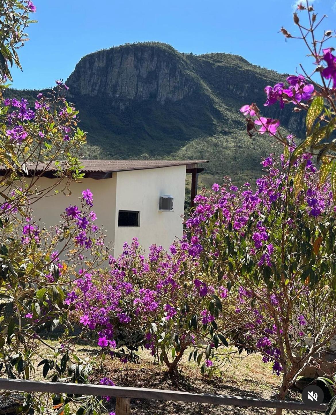 Pousada Rancho Dos Ipes Alto Paraíso de Goiás Exterior foto