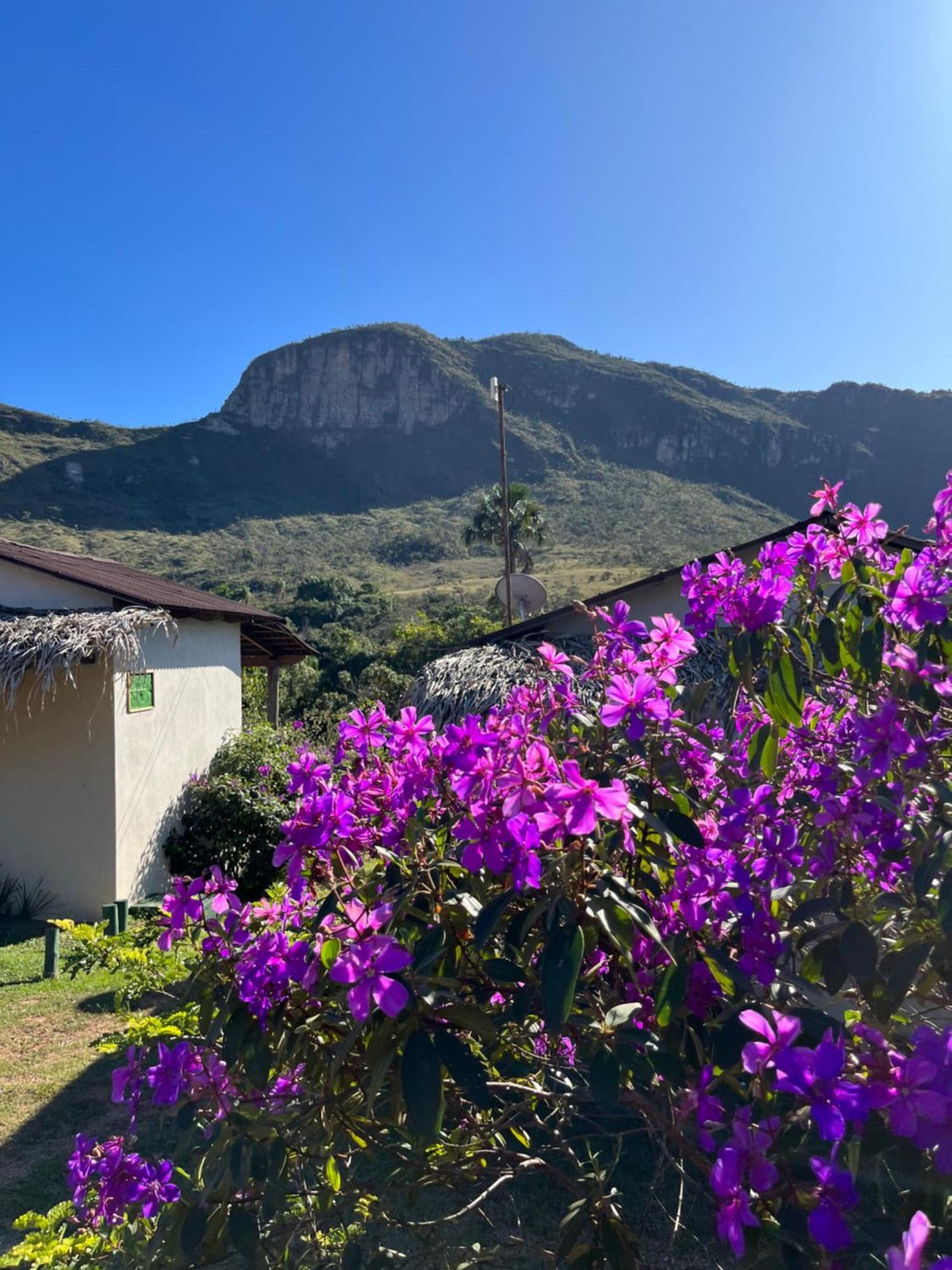 Pousada Rancho Dos Ipes Alto Paraíso de Goiás Exterior foto